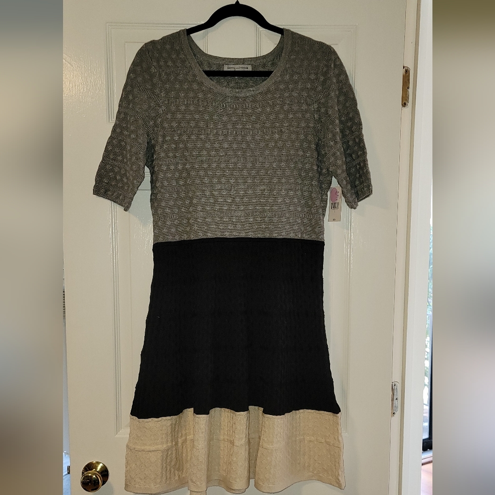 NWT danny and nicole knit  midi block  dress. Grey, blk and cream. Size L